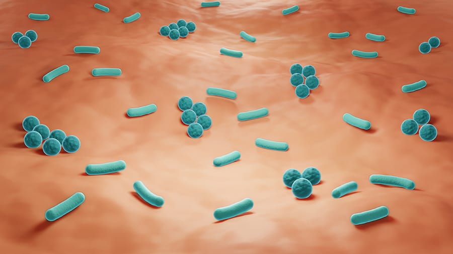 Microbiome Therapy  